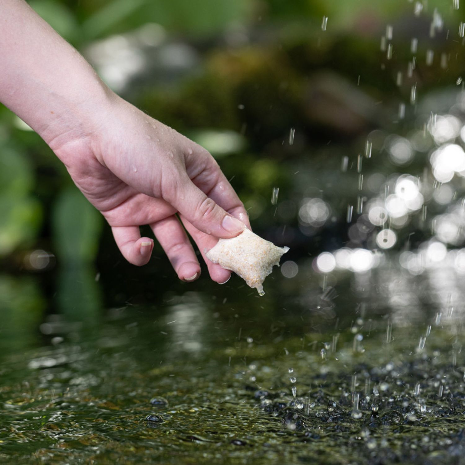 Awesome Pond Pods 12 pack - Pennington Aquagarden